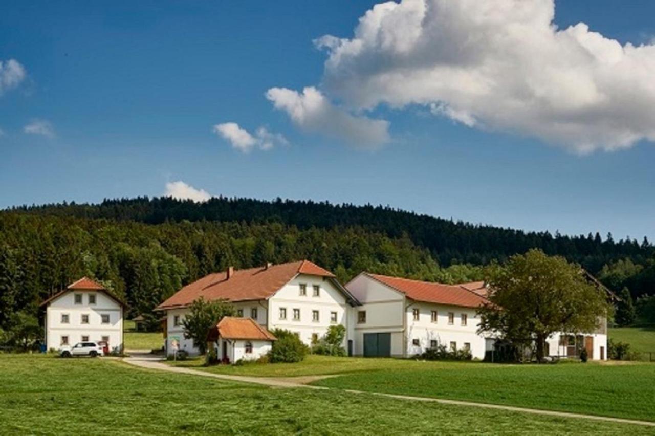 Der Breinhof - Euer Urlaubsbauernhof Apartment Waldkirchen Luaran gambar