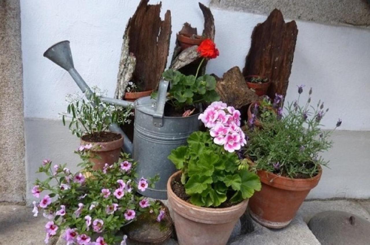 Der Breinhof - Euer Urlaubsbauernhof Apartment Waldkirchen Luaran gambar